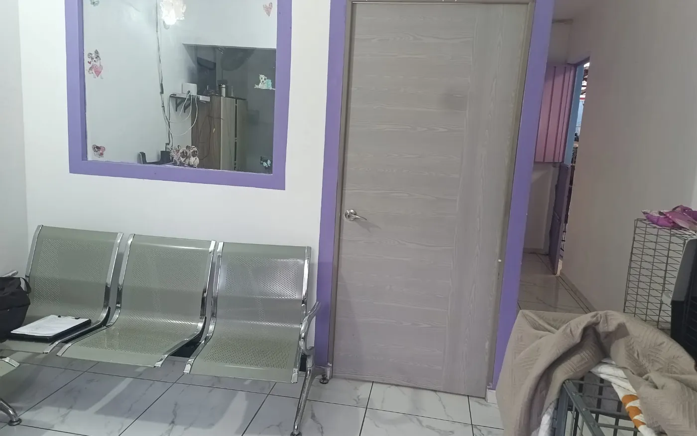 Sala de espera de Planeta Canino con sillas, ventanilla de recepción y la puerta del consultorio